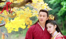 花电视剧,绽放的青春，梦想的翅膀